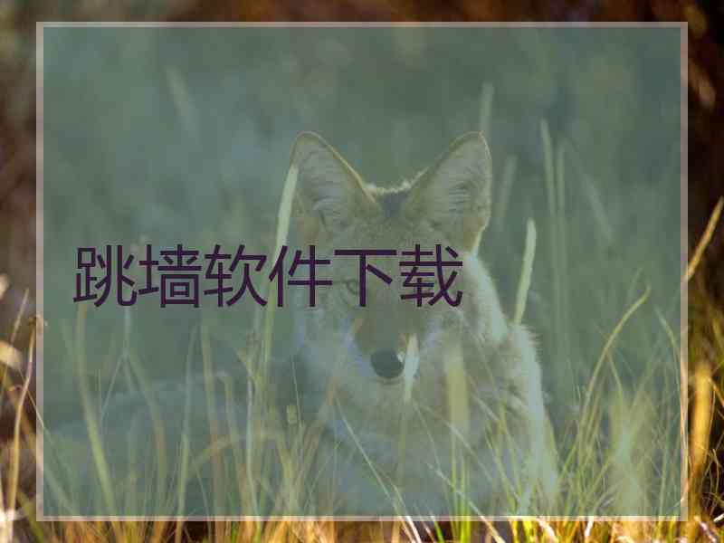 跳墙软件下载